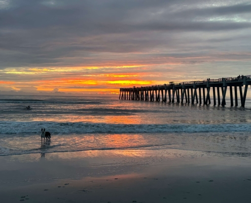 Jax Beach Pier and Zorro