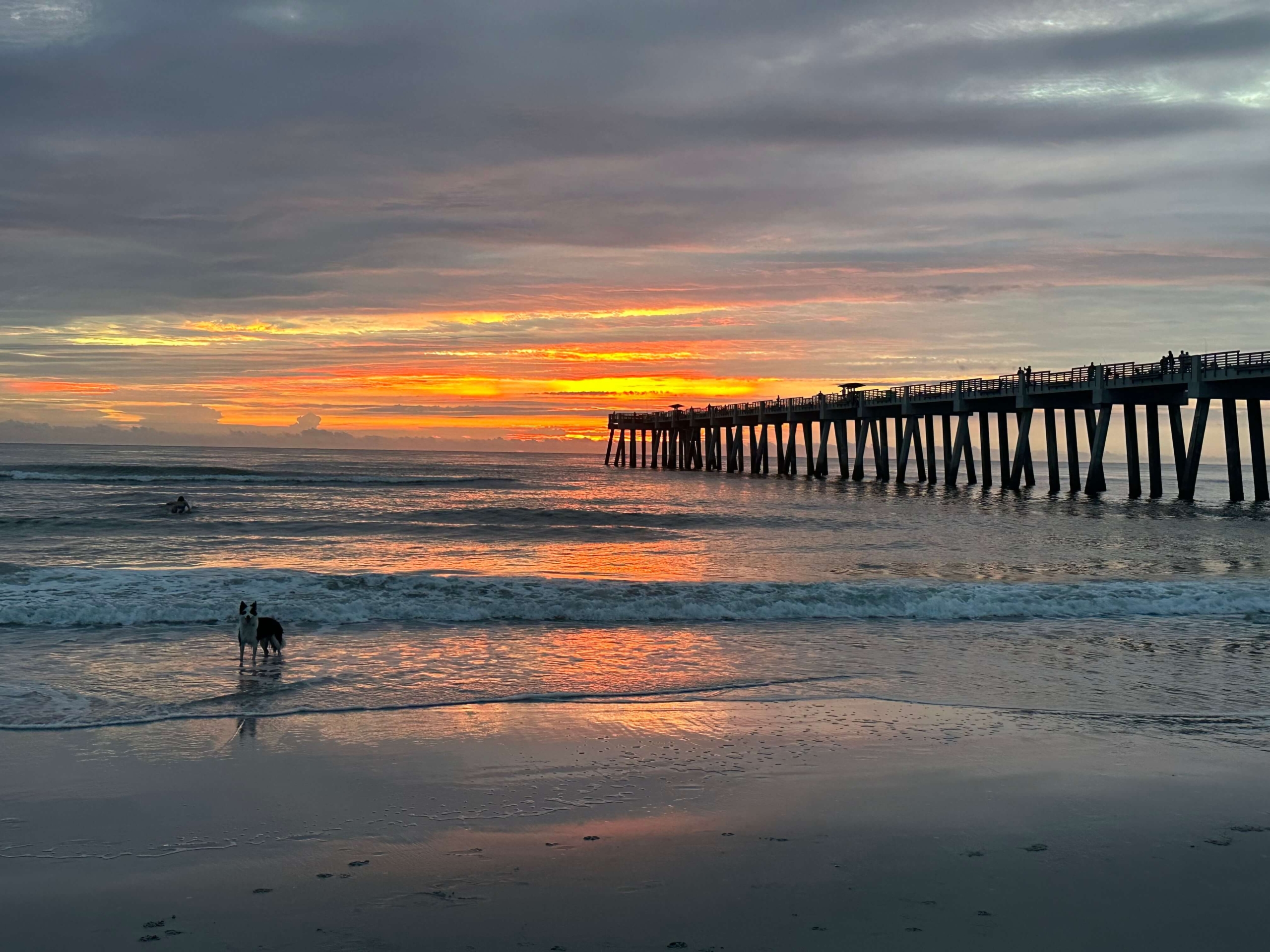 Jax Beach Pier and Zorro